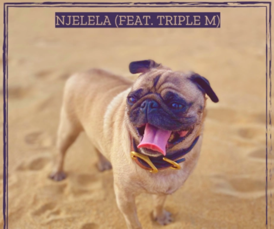 B Flow Ft. Triple M – Njelela | Download 2024