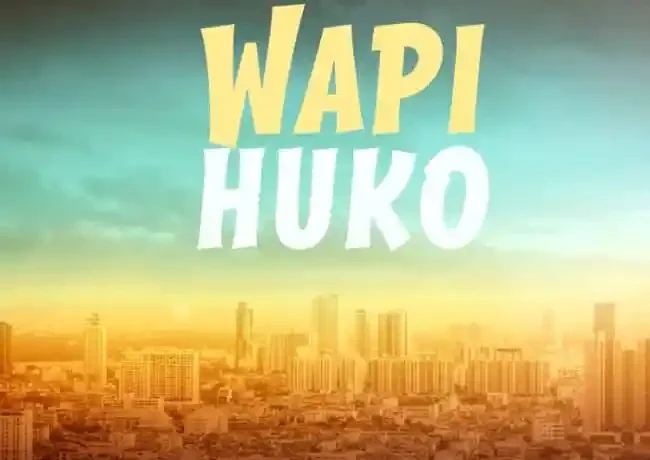 Nay Wa Mitego – Wapi Huko