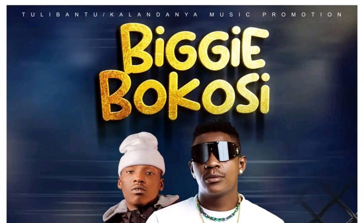 Download Rich Bizzy Ft. Blood Kid – Biggie Bokosi | 2024