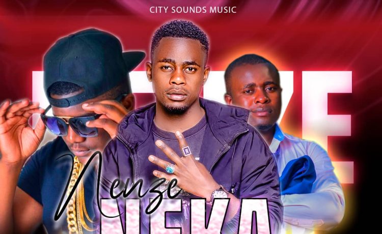 Download Y Kay The Rhymer Ft. Stevo & Mr Kimz – Nenze Neka | 2024