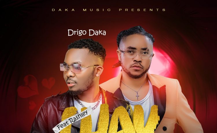 Drigo Daka Chaumapo Ft Rashley | Download 2024