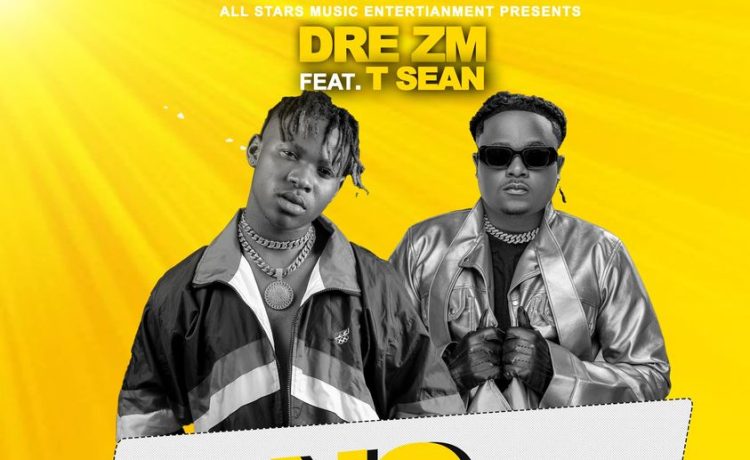 Dre Ft. T Sean – No Vundu (nga Ufuna Unga Yende) | Download 2024