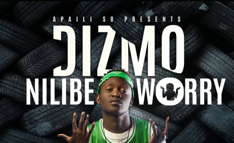 Dizmo – Nilibe Worry (prod. D Jonz) Download