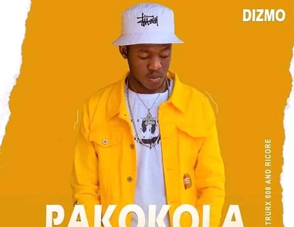 Dizmo – Pakokola Download