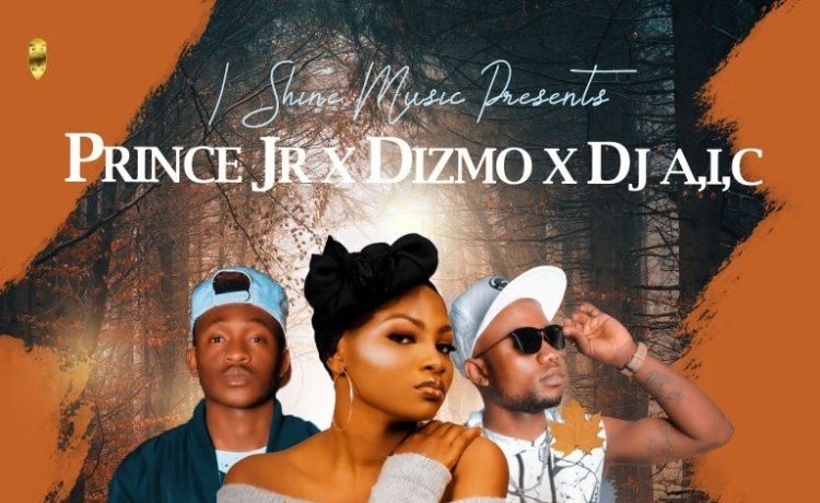 Prince Jr X Dizmo X Dj A,i,c – Am Sorry (prod. Dj A,i,c) Download