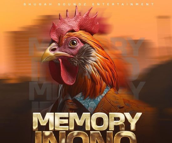 Shenky Ft Drimz – Memory Inono Download