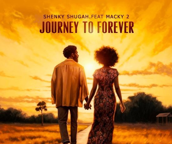 Shenky Ft. Macky 2 – Journey To Forever Download