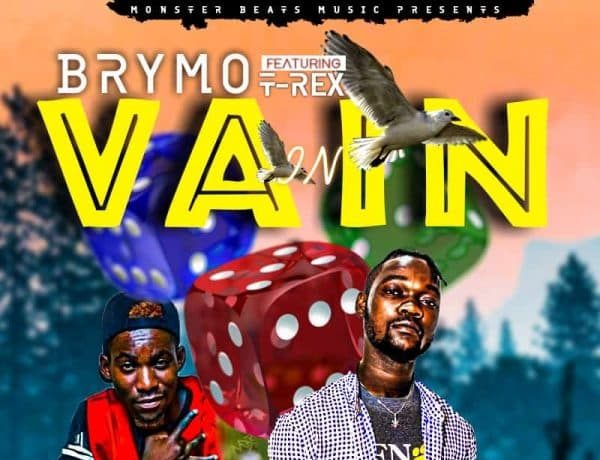 Brymo Ft. T Rex – In Vain Download