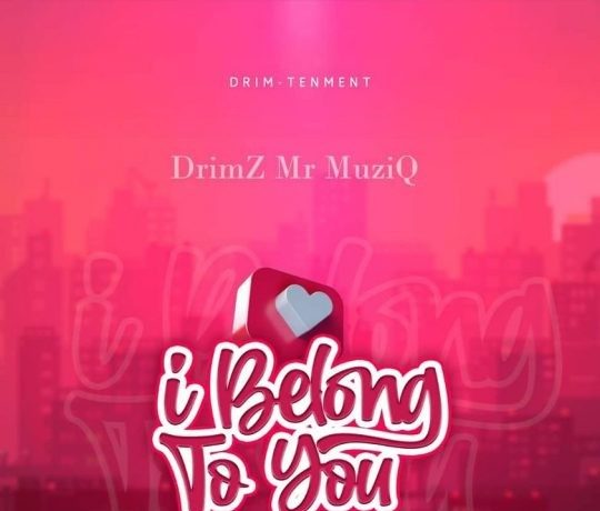 Drimz – I Belong To You Download