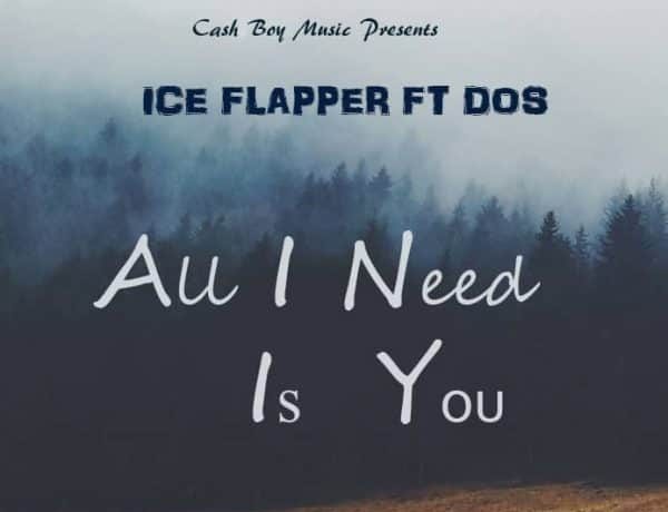 Ice Flapper X Dos – All I Need Is You Download