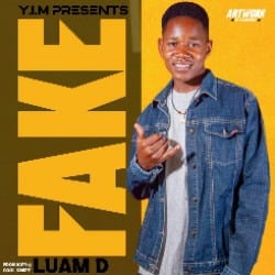 Luam D – Fake Download