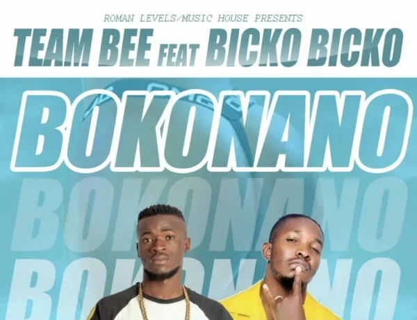 Team Bee Ft. Bicko Bicko – Bokonano Download