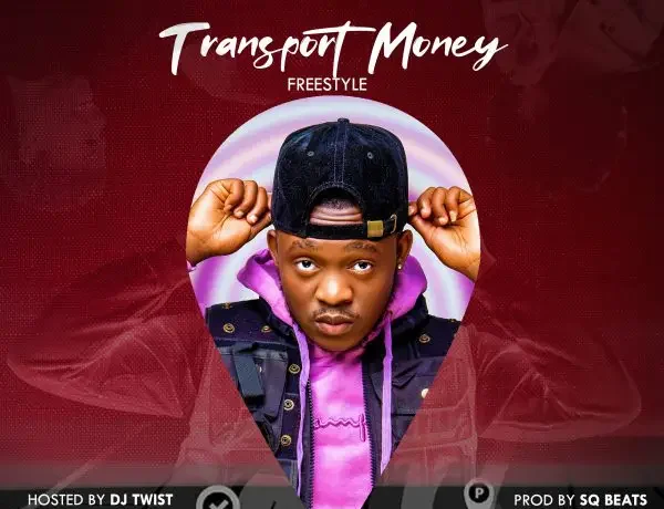 Dizmo – Transport Money (freestyle) Download