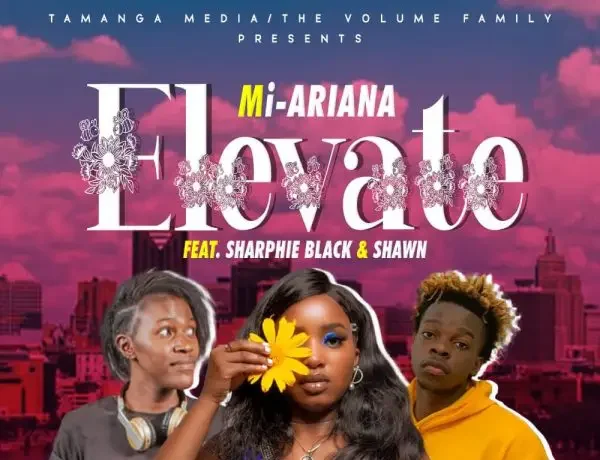 Mi Ariana Ft. Sharphie Black & Shawn – Elevate Download