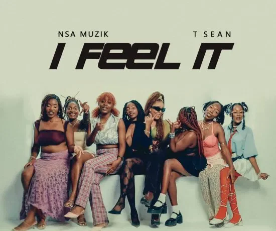 Nsa Ft T Sean – I Feel It Download