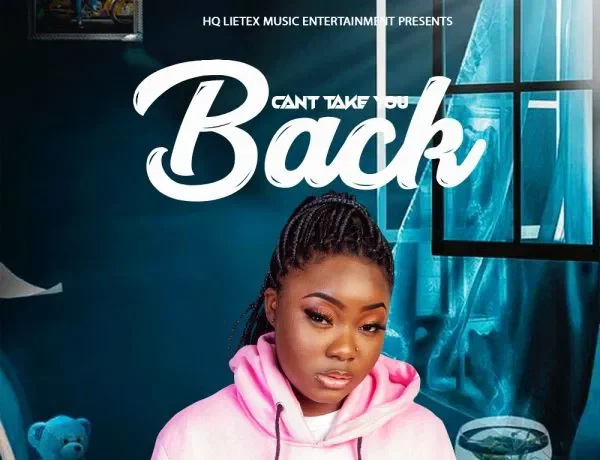 Demenji – Can’t Take You Back Download