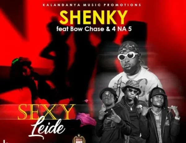 Shenky Ft. Bow Chase & 4 Na 5 – Sexy Lady Download