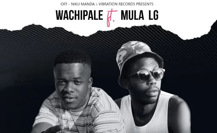 Wachipale Ft. Mula Lg – Ndemilanfye Download